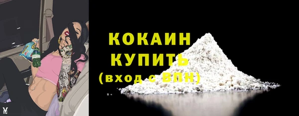 твердый Осташков
