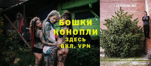 твердый Осташков