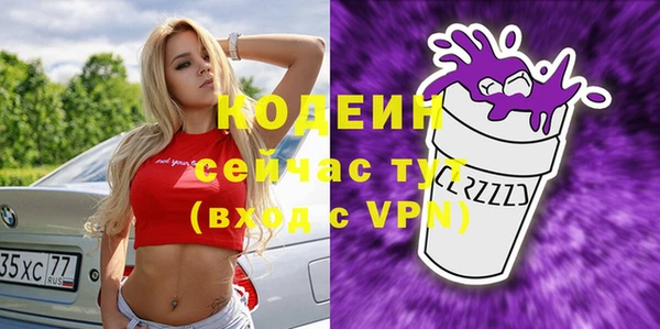 ECSTASY Лагань