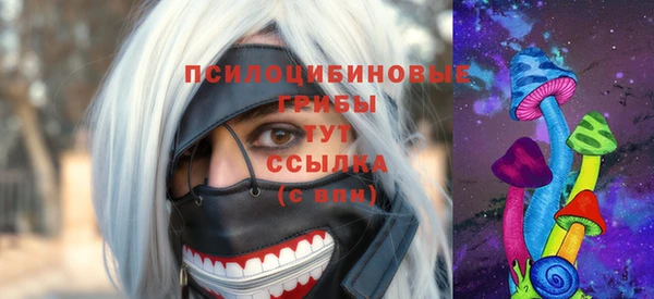 стаф Лабытнанги