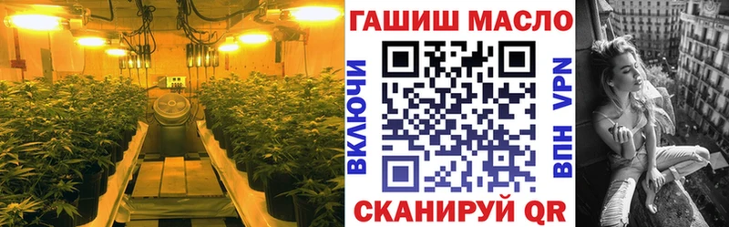 Дистиллят ТГК гашишное масло  как найти закладки  Нерчинск 